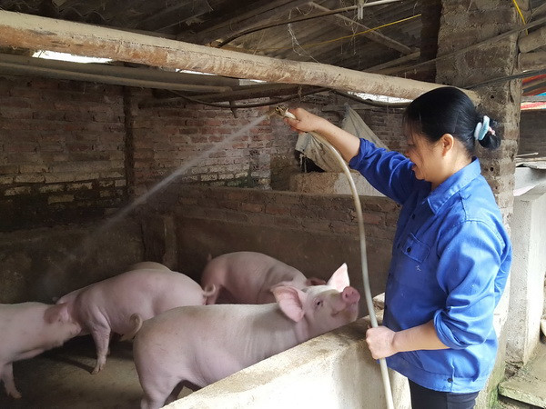 5 tiêu chí huyện nghèo áp dụng cho giai đoạn 2017 – 2020 ảnh 1