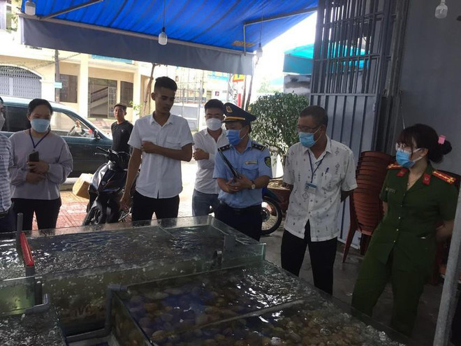 Khánh Hòa: Tiếp tục kiểm tra vụ hóa đơn ăn hải sản trên 42 triệu đồng ảnh 1