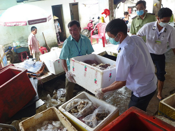 Hưng Yên tiêu hủy hơn 5 tạ thịt lợn chết thối tại một lò mổ ảnh 1