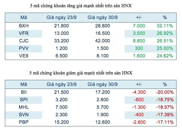 Chứng khoán tuần qua: ROS kéo dài ngày vui, TNT tiếp tục lao dốc ảnh 3