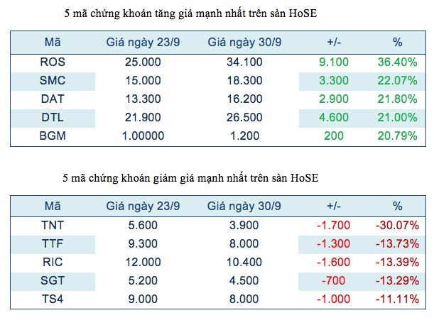 Chứng khoán tuần qua: ROS kéo dài ngày vui, TNT tiếp tục lao dốc ảnh 2