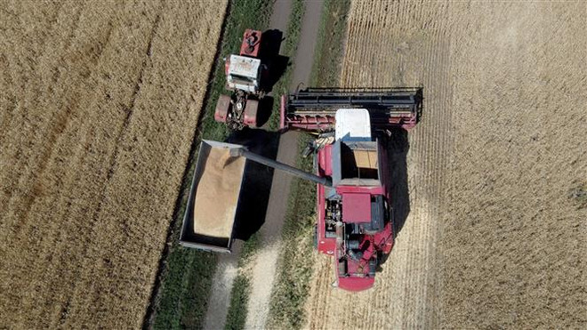 Ukraine có lượng ngũ cốc xuất khẩu trị giá 10 tỷ USD ảnh 1