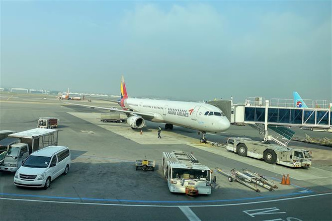 Máy bay của hãng hàng không Asiana Airlines tại sân bay quốc tế Gimpo. (Ảnh: Anh Nguyên/TTXVN) Asiana Airlines mở lại đường bay Incheon-Bắc Kinh sau hơn 2 năm ảnh 1