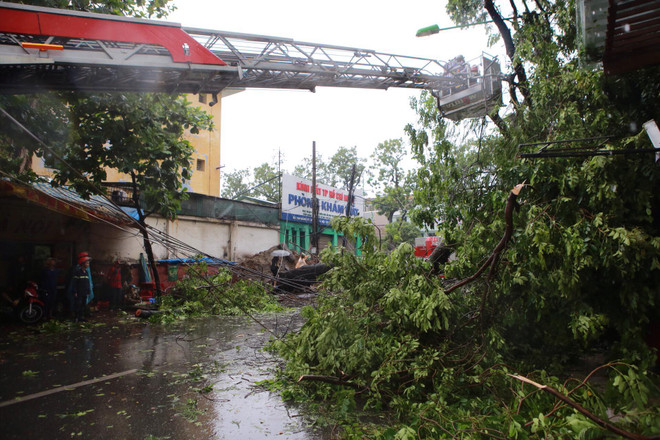 Hà Nội: Kinh hoàng cây to đổ đè bẹp xe ôtô trên phố Núi Trúc ảnh 6
