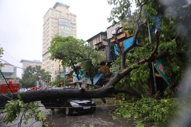 Hà Nội: Kinh hoàng cây to đổ đè bẹp xe ôtô trên phố Núi Trúc ảnh 4