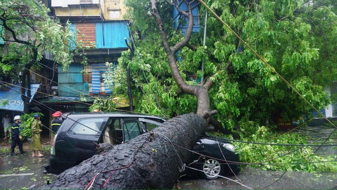 [Video] Toàn cảnh cơn giông lốc dữ dội tàn phá các tuyến phố Hà Nội ảnh 1