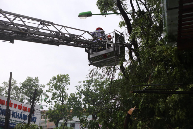 Hà Nội: Kinh hoàng cây to đổ đè bẹp xe ôtô trên phố Núi Trúc ảnh 5