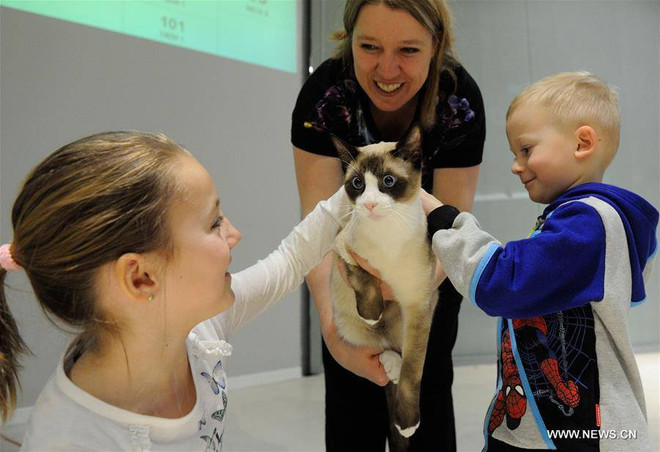 [Photo] Cuộc thi nhan sắc đẳng cấp thế giới của các "tiểu hổ" ảnh 7