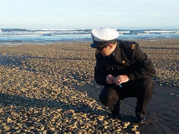 Hàng tấn ngao chết trắng dọc bờ biển Chile do thủy triều đỏ ảnh 1