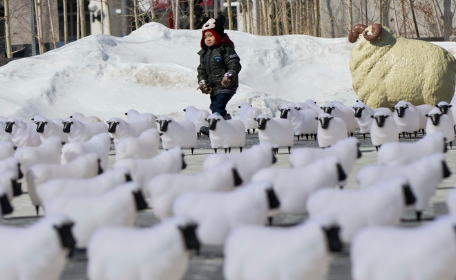Hàng trăm đèn lồng hình con cừu ngộ nghĩnh tại lễ hội ở Canada ảnh 2