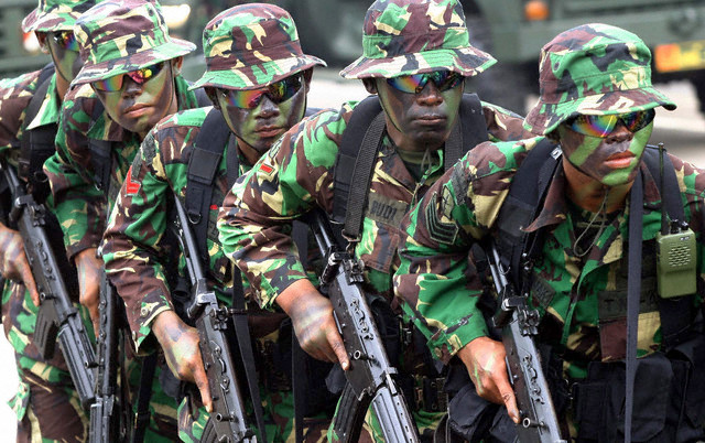 Indonesia tiến hành tập trận hiệp đồng quân binh chủng 2014 ảnh 1