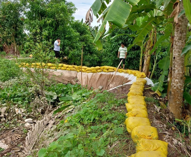 Trà Vinh tiếp tục công bố tình huống khẩn cấp sạt lở đê ven sông Hậu ảnh 2