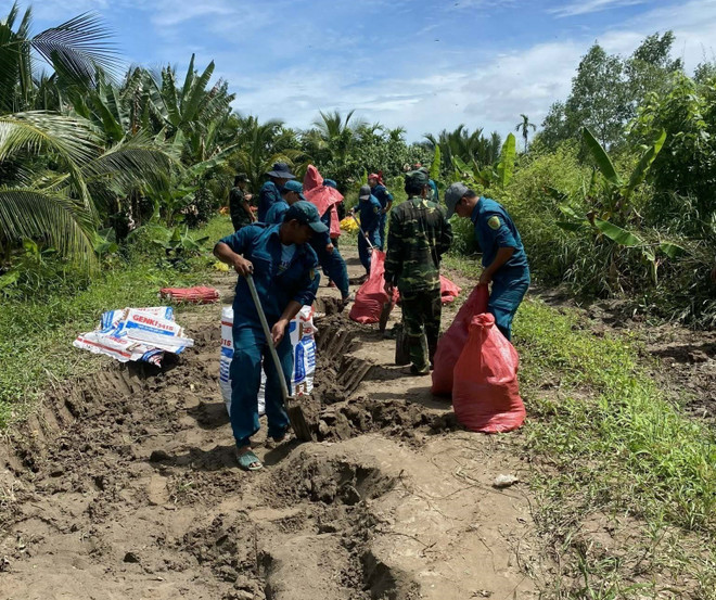 Trà Vinh tiếp tục công bố tình huống khẩn cấp sạt lở đê ven sông Hậu ảnh 1