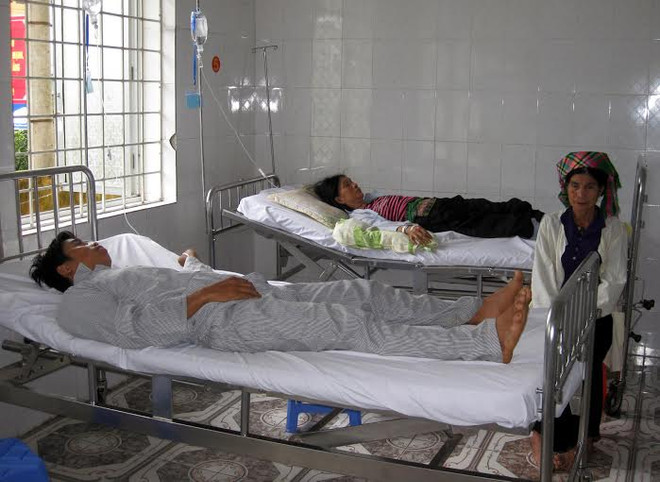 Lai Châu: 6 người ngộ độc "do ăn bọ xít đen" đã xuất viện ảnh 1