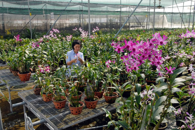 Malaysia muốn đầu tư phát triển công nghệ sinh học tại ĐBSCL ảnh 1