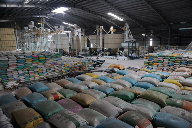 EU-Việt Nam tiến tới thỏa thuận thương mại tự do song phương ảnh 1