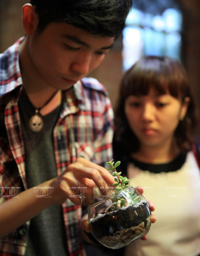 Chiêm ngưỡng những chiếc "bình ảo thuật" chứa khu vườn tí hon ảnh 5