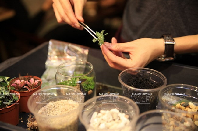 Chiêm ngưỡng những chiếc "bình ảo thuật" chứa khu vườn tí hon ảnh 6