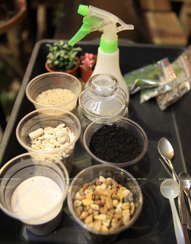 Chiêm ngưỡng những chiếc "bình ảo thuật" chứa khu vườn tí hon ảnh 1