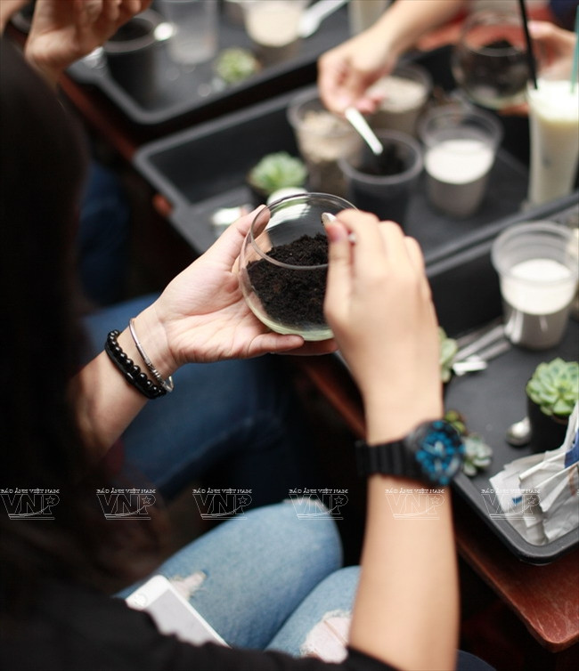 Chiêm ngưỡng những chiếc "bình ảo thuật" chứa khu vườn tí hon ảnh 2