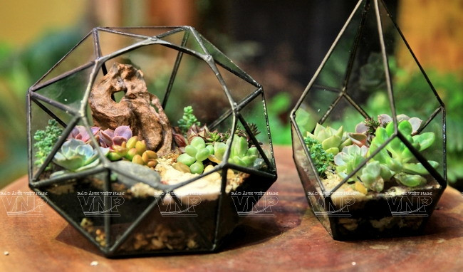 Chiêm ngưỡng những chiếc "bình ảo thuật" chứa khu vườn tí hon ảnh 9