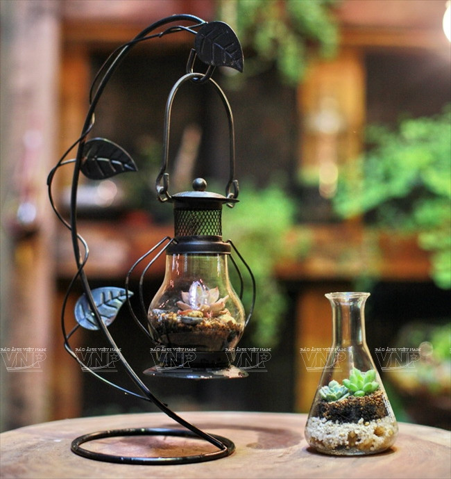 Chiêm ngưỡng những chiếc "bình ảo thuật" chứa khu vườn tí hon ảnh 8