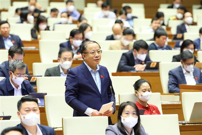 Cử tri Quảng Nam: Bảo vệ sức khỏe người dân là mối quan tâm đặc biệt ảnh 2