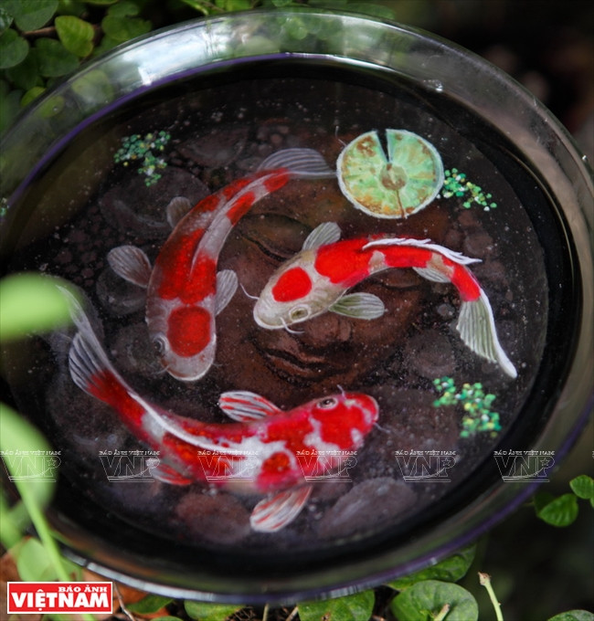"Sốt sình sịch" với thú nuôi cá 3D không cần tốn thời gian chăm sóc ảnh 11
