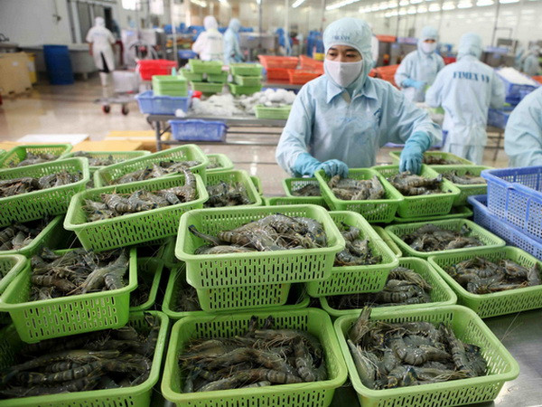 Tái cơ cấu ngành thủy sản hướng tới phát triển bền vững ảnh 1