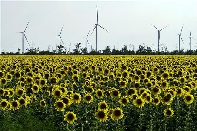 Các turbin điện ở gần Melitopol, vùng Zaporizhzhia (Ukraine). (Ảnh: AFP/TTXVN) Ukraine bắt đầu nối lại xuất khẩu điện sang các nước láng giềng ảnh 1