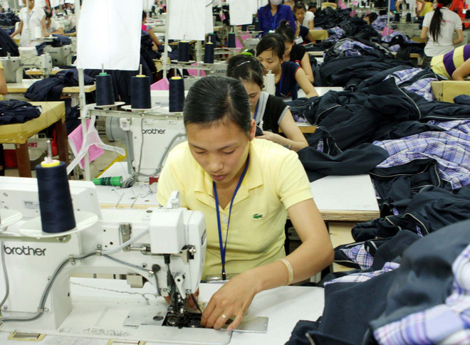 Trí thức Việt Nam ở nước ngoài góp ý phát triển kinh tế trong nước ảnh 1