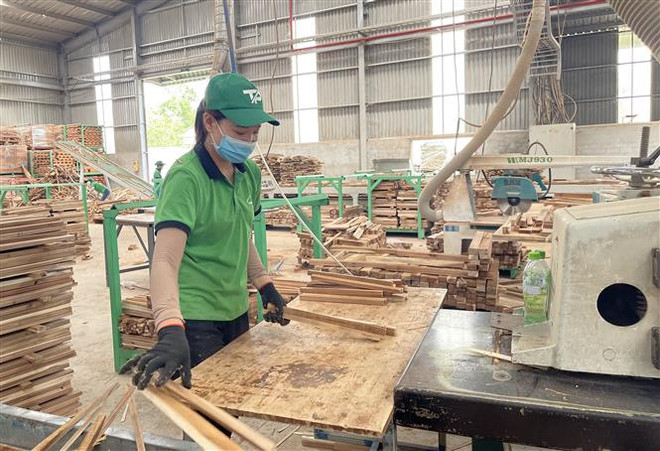 Quyết liệt gỡ khó, thúc đẩy sản xuất và xuất khẩu lâm-thủy sản ảnh 1