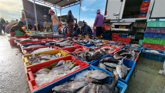 Quyết liệt gỡ khó, thúc đẩy sản xuất và xuất khẩu lâm-thủy sản ảnh 2