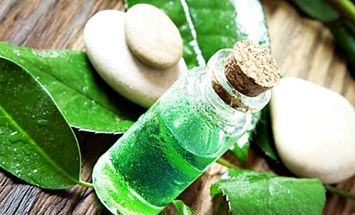 Tạm biệt đôi môi thâm nhờ 10 bí quyết đến từ thiên nhiên ảnh 2