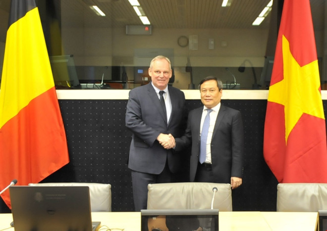 Việt Nam và Vương quốc Bỉ tăng cường hợp tác kinh tế ảnh 1