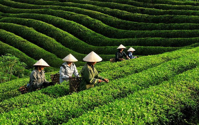 Chuyện xây dựng chính quyền hành động vì dân ở Tuyên Quang ảnh 2