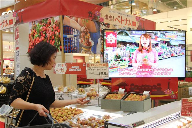 Vải thiều tươi của Việt Nam được bày bán ở một siêu thị của AEON tại Nhật Bản. (Ảnh: Đào Thanh Tùng/TTXVN) Đẩy mạnh công tác ngoại giao kinh tế phục vụ phát triển đất nước ảnh 3