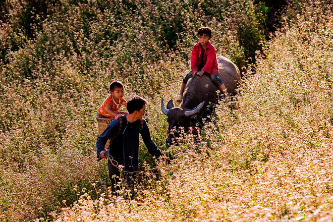 Ấn tượng với triển lãm ảnh “Những ông bố Việt Nam” ảnh 4
