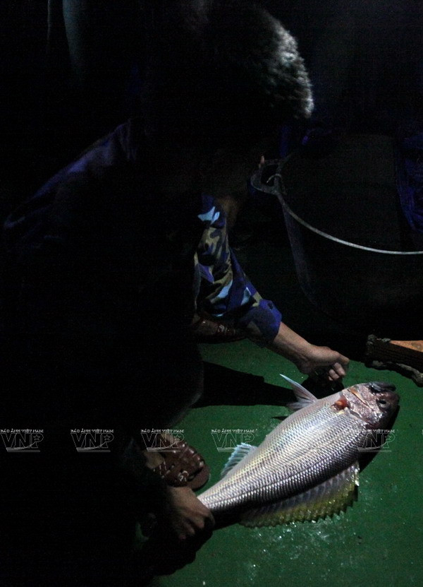Câu cá đêm-thú vui của các thuyền viên trên đường tới Trường Sa ảnh 5