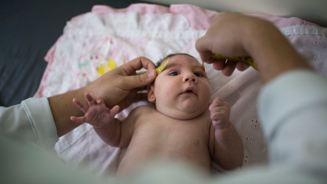 Châu Âu lập nhóm chuyên gia về điều trị, phòng ngừa virus Zika ảnh 1