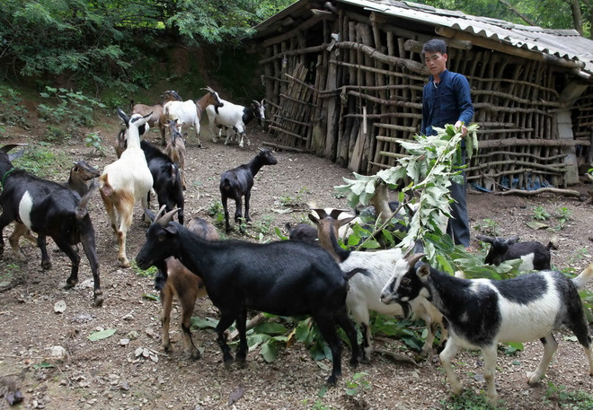 Thủ tướng phê duyệt chương trình giảm nghèo bền vững 2016-2020 ảnh 1