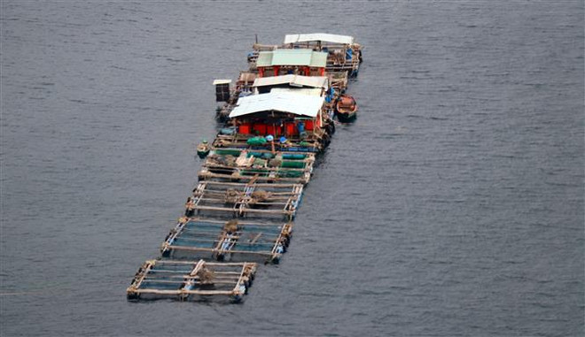 Tỉnh Kiên Giang tập trung nguồn lực đầu tư hạ tầng nghề cá ảnh 2