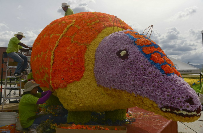 [Photo] Hoành tráng lễ hội hoa Medellin tại Colombia ảnh 2