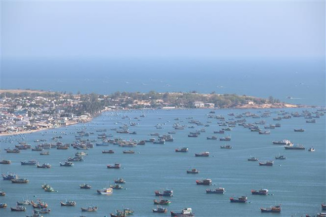 Bình Thuận: Xây dựng sản phẩm “Du lịch xanh” tại đảo Phú Quý ảnh 1