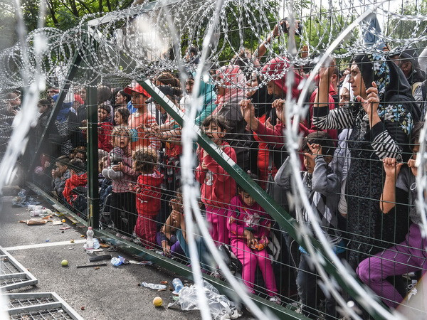 Canada cán mốc tiếp nhận 10.000 người tị nạn Syria đầu tiên ảnh 1