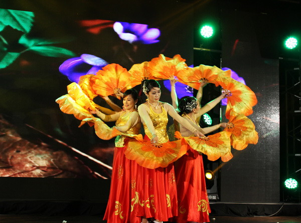 Năm Văn hóa Việt Nam tại Séc: Những thành công bước đầu ảnh 1