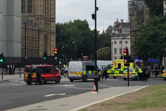 Lao xe vào tòa nhà Quốc hội Anh, lái xe bị cảnh sát bắt giữ ảnh 1