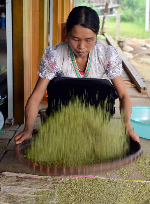 [Photo] Thưởng thức hương cốm Tú Lệ ngọt ngào nơi rẻo cao ảnh 2