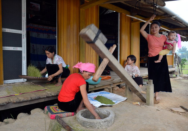 [Photo] Thưởng thức hương cốm Tú Lệ ngọt ngào nơi rẻo cao ảnh 1