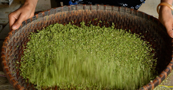 [Photo] Thưởng thức hương cốm Tú Lệ ngọt ngào nơi rẻo cao ảnh 4